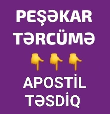 Avtobiznes, servis xidmətləri: Tərcüməçi