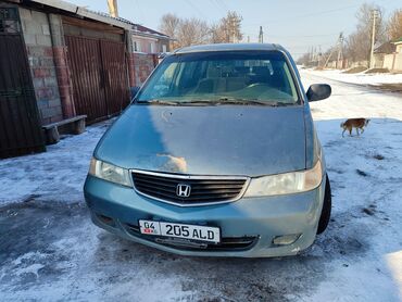 машина дешовая: Honda Odyssey: 2000 г., 3.5 л, Автомат, Бензин, Минивэн