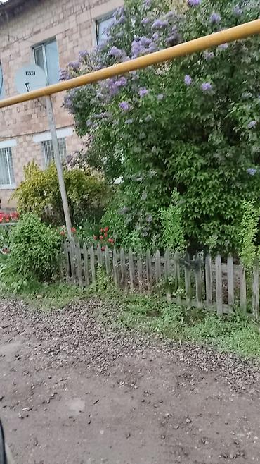 Продажа коттеджей и домов: Продается дом с просторным двором и хозяйственными постройками. - — 29