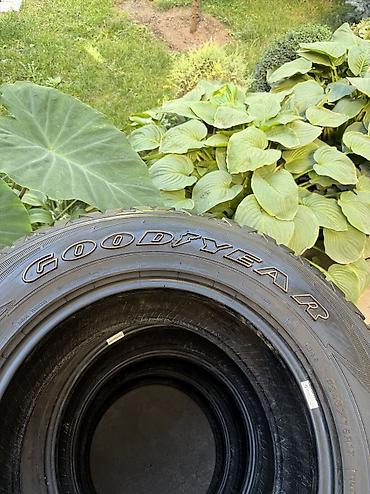 7 1: Шины 245 / 75 / R 17, Лето, Б/у, Комплект, Внедорожные (АТ/МТ), Япония, GoodYear — 4