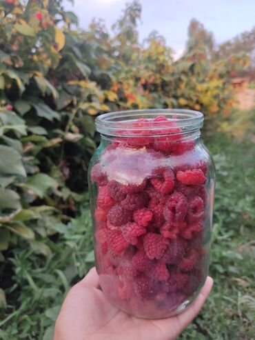 кухонный оборудование: Малина Чекене