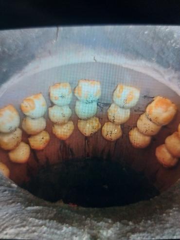 Повара: Повар универсальный шашлык лепешка самсы установки тандыра — 11