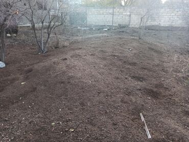 Peyin: Toz halinda mal peyini - kisesi 2,80 q. ( boyuk kepek kisesinde) — 19