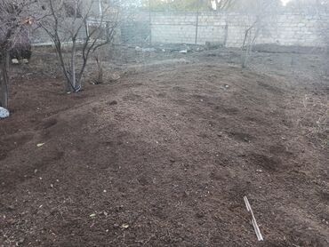 Peyin: Toz halinda mal peyini - kisesi 2,60 q. ( boyuk kepek kisesinde) — 6