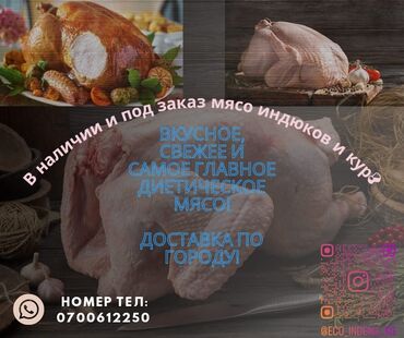 мясо бройлера оптом: Мясо Броллерных индюков, курей суповых и броллерных утки и суповые