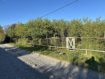 qubada torpaq sahesi satilir: 43 sot, Tikinti, Mülkiyyətçi, Kupça (Çıxarış) — 1