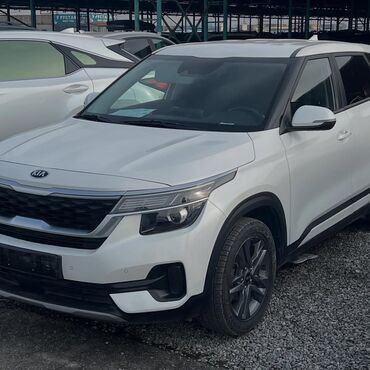 Kia: Kia Seltos: 2019 г., 1.6 л, Робот, Дизель, Кроссовер at lalafo.kg — 1 Kia: Kia Seltos: 2019 г., 1.6 л, Робот, Дизель, Кроссовер — 1