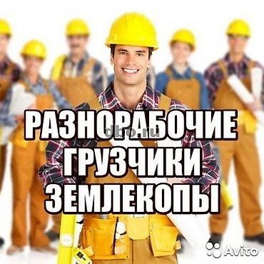 Услуги: разнорабочие, грузчики, землекопы. - Выполняем