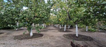 Продажа участков: 10 соток — 2