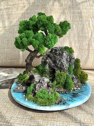 Декоративные цветы: Деревья-бонсай из натурального стабилизированного мха🌳 -это — 103
