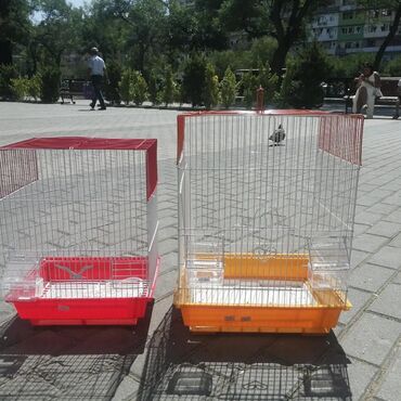 Dovşanlar: Dovşan yemləri 1-kilosu 2azn Dovşan balaları 5azn topdan Tək tək 9-azn — 27