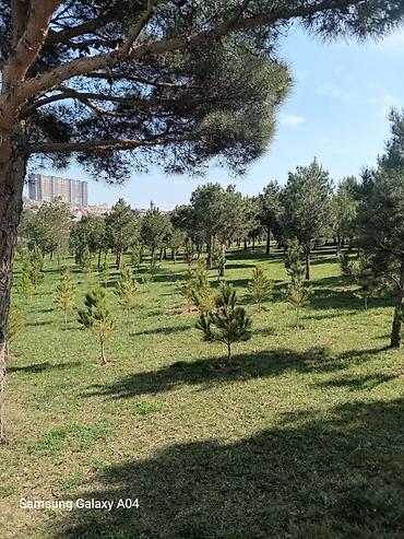 Yeni tikili: Tecili Satılır ! 2 otaglı menzil Hezi Aslanov metrosunun yanında -da lalafo.az — 28 Yeni tikili: Tecili Satılır ! 2 otaglı menzil Hezi Aslanov metrosunun yanında — 28