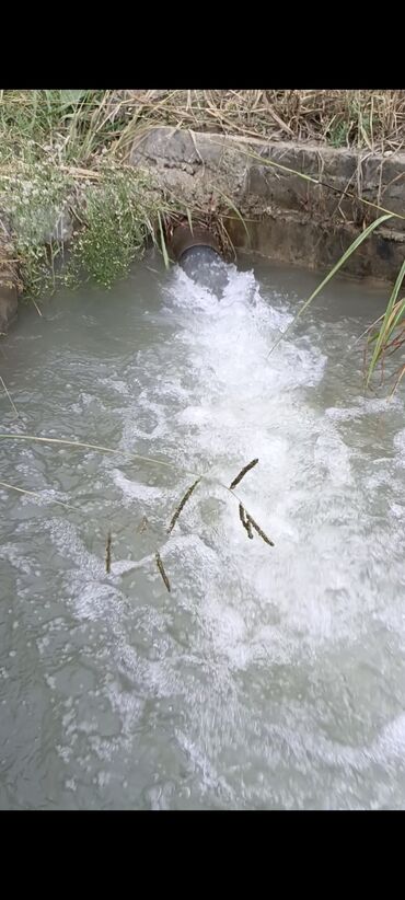 Torpaq sahələrinin satışı: 243 sot, Kənd təsərrüfatı, Mülkiyyətçi, Kupça (Çıxarış) — 10