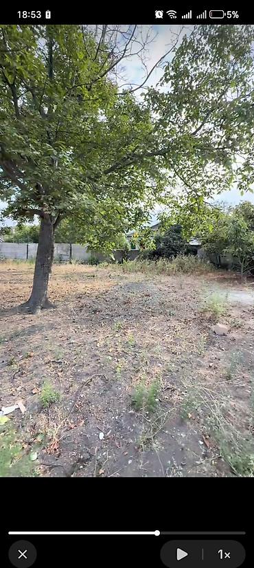 zigda həyət evləri 2026: 10 sot, Tikinti, Barter mümkündür, Kupça (Çıxarış) — 9