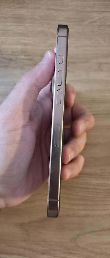 iphone 1000: IPhone 16 Pro, 256 GB, Desert Titanium, Face ID — 3