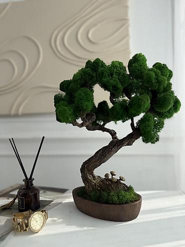 Другой декор и предметы интерьера: Декоративное дерево бонсай, выполненное из стабилизированного мха — 33