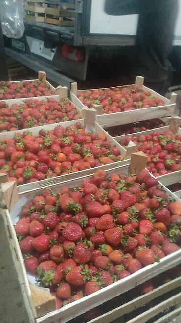 Малина: Малина Платная доставка — 15