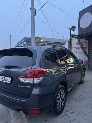 Subaru: Subaru Forester: 2020 г., 2.5 л, Вариатор, Бензин, Кроссовер — 3