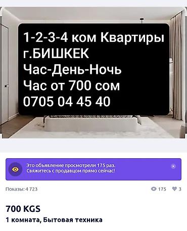 kant flat: 1 комната, Филармония, Бытовая техника — 1