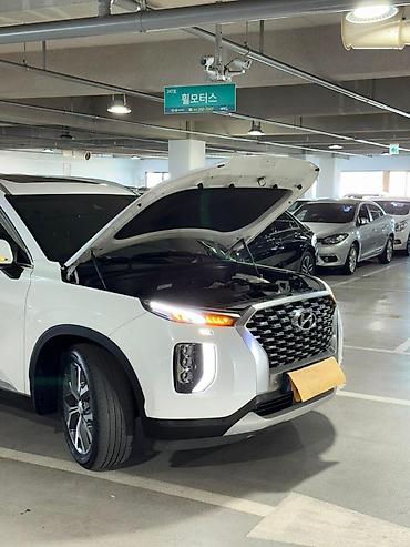 haval dargo: Hyundai Palisade: 2022 г., 2.2 л, Автомат, Дизель, Кроссовер — 10
