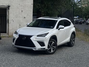 Lexus: Lexus NX: 2019 г., 2 л, Автомат, Бензин, Кроссовер