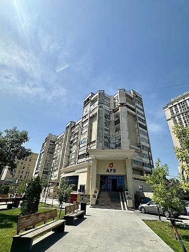 11: 1 комната, 33 м², Цум Индивидуалка, 11 этаж, Старый ремонт — 7
