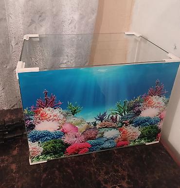 akvarium zavod istehsalı: Şüşə akvarium — 1