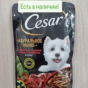 союшка кой: Cesar «Натуральное меню» — влажный корм для собак в соусе. Вкус — 1