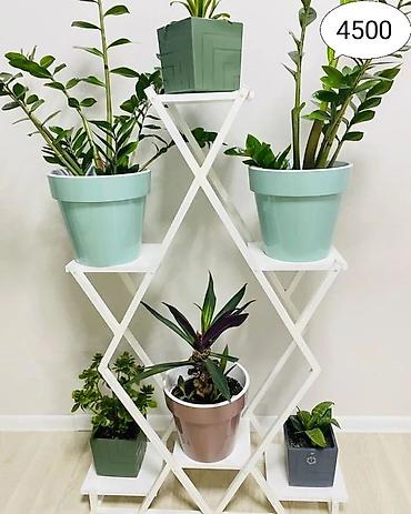 Тележки-органайзеры на колесах: Этажерки/стеллажи для комнатных растений - Дизайн: современные — 18