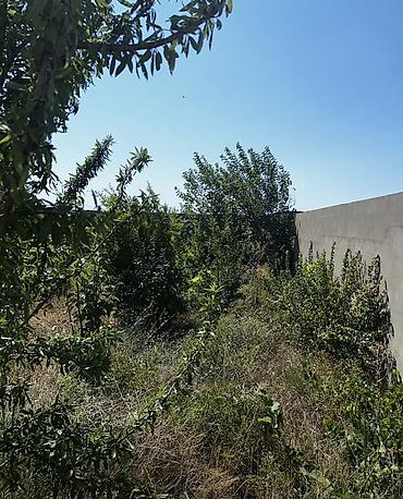 ev t: Nardaran qəs. 4 otaqlı, 180 kv. m, Kredit yoxdur, Təmirsiz — 7