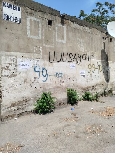 халаделник бу: Bu şəkillər küçə divarlarını əks etdirir. Divarlar müxtəlif yazılarla