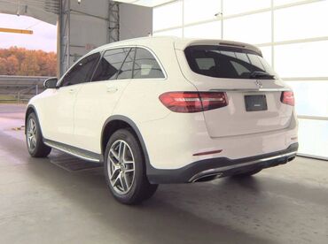 Mercedes-Benz: Mercedes-Benz 300: 2 l. | 2019 έ. SUV/4x4 — 17