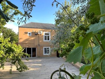 Bağ evlərinin satışı: Novxanıda Qurd dərəsi deyilən ərazidə, əsas yoldan təxminən 800 metr — 12