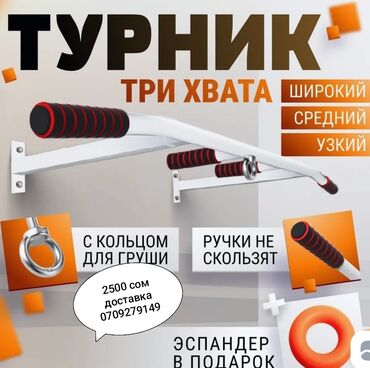 спортивный сумка: Турник, Турник, Настенный, Б/у, Платная доставка