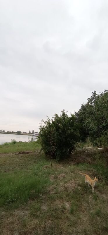 Torpaq sahələrinin satışı: 9 sot, Biznes üçün, Mülkiyyətçi, Kupça (Çıxarış) — 4