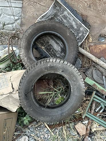 canry 70: В очень хорошем состоянии один сезон только катал Зимние автомобильные — 2