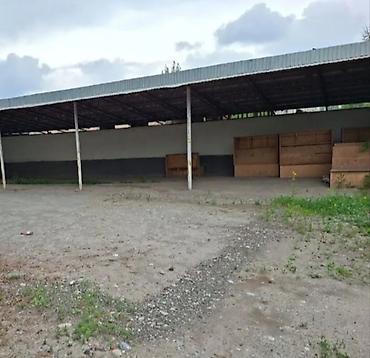 место отдыха: Здание, 600 м² — 6