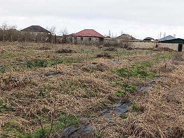 Torpaq sahələrinin satışı: 34 sot, Tikinti, Maklerlər narahat etməsin, Kupça (Çıxarış) — 8