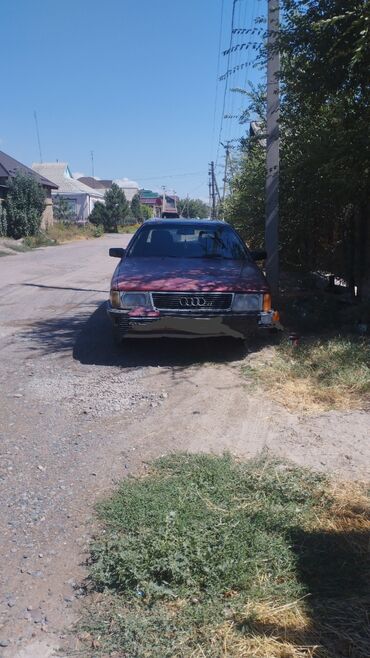 Audi: Audi 100: 1989 г., 2.3 л, Механика, Газ, Седан