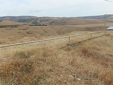 Torpaq sahələrinin satışı: Tikinti — 9