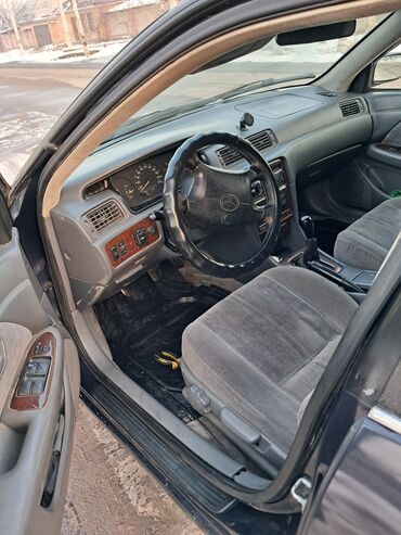 тайга камри: Toyota Camry: 1997 г., 2.2 л, Механика, Бензин, Седан