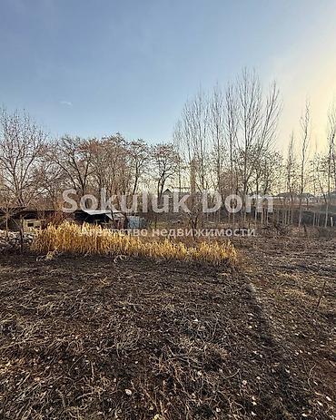 Продажа коттеджей и домов: 🏠Продается дом в с. Сокулук 🟡 Комнаты: 3 🟡 Участок: 16 соток 🟡 — 6