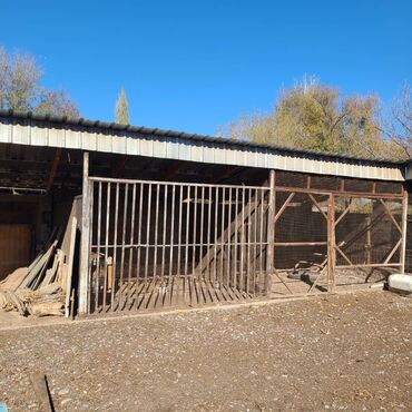 Продажа домов: Дом, 150 м², 5 комнат, Собственник, Евроремонт — 24