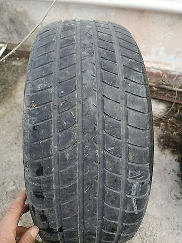 g2 master: Шины 205 / 55 / R 16, Лето, Б/у, Запаска, Легковые, Германия, Dunlop — 1
