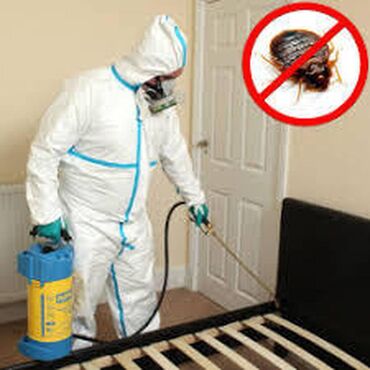 Куплю комнату: ОсОО. Уничтожим любых насекомых!!! Клопы, тараканы, блох, муравьи, и