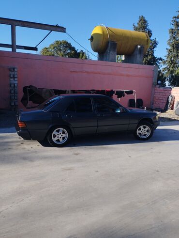 yan guzgulər s: Mercedes-Benz 190: 2 l | 1989 il Sedan