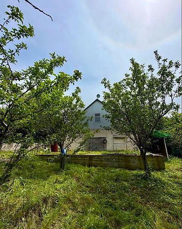 Продажа дачи: 🏡🔥 ПРОДАЁТСЯ ДАЧА В ТАШ-МОЙНОКЕ! ДТ: «Мичуринец» 🌿 💥 Участок — 6 — 15