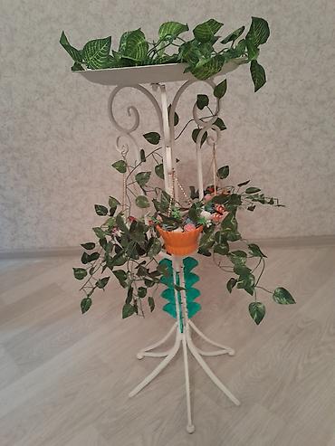 akvarium zavod istehsali: Yumru akvarium üçün əşyalar — 10