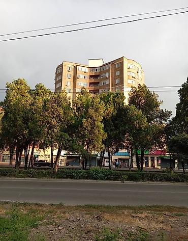 312: 3 комнаты, 93 м², Элитка, 3 этаж, Косметический ремонт — 9