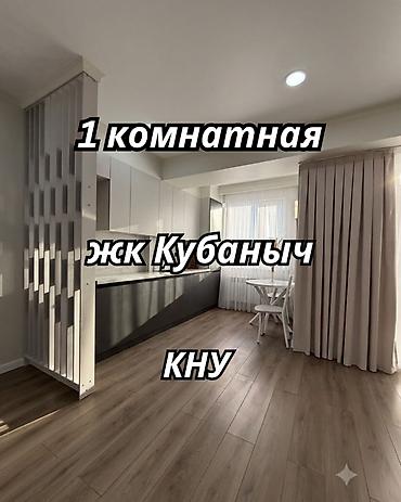 ул пушкина: Студия, 30 м², КНУ Элитка, 7 этаж, Евроремонт — 1